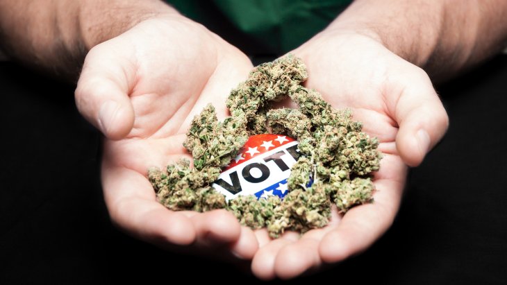 a person's hands are together holding a button that reads "vote" nestled amongst a pile of cannabis buds