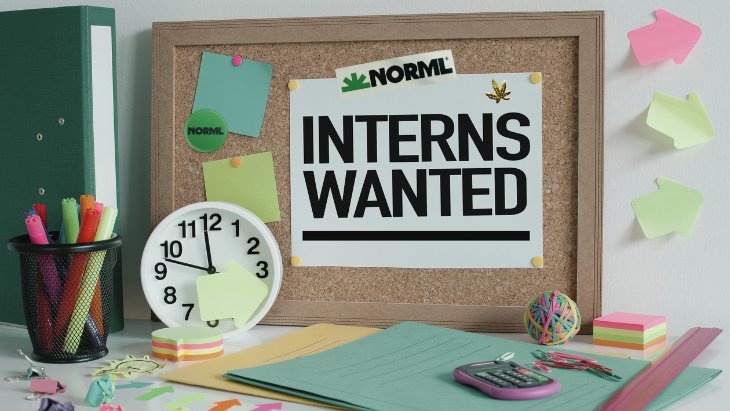 NORML internship