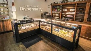 Interior shot of a legal cannabis dispensary with glass cabinets