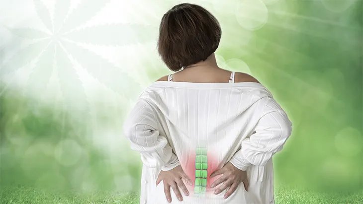 a woman against a background with a cannabis leaf places her hands on her lower back indicating pain