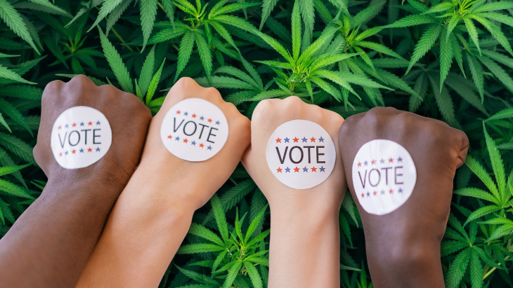 four raised fists of varying skin tones display round "VOTE" stickers against a background of legal cannabis plants