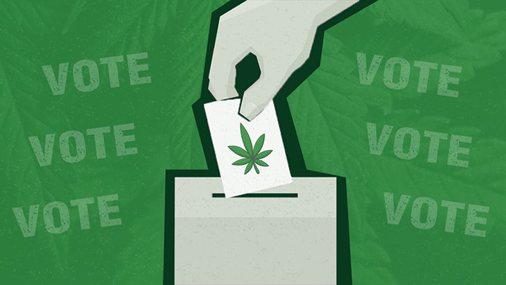 stylized image of a hand placing a ballot marked with a marijuana leaf into a box against a soft background of cannabis leaves and the word VOTE